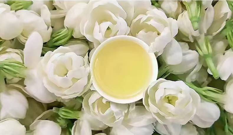 蒙小青茉莉花茶