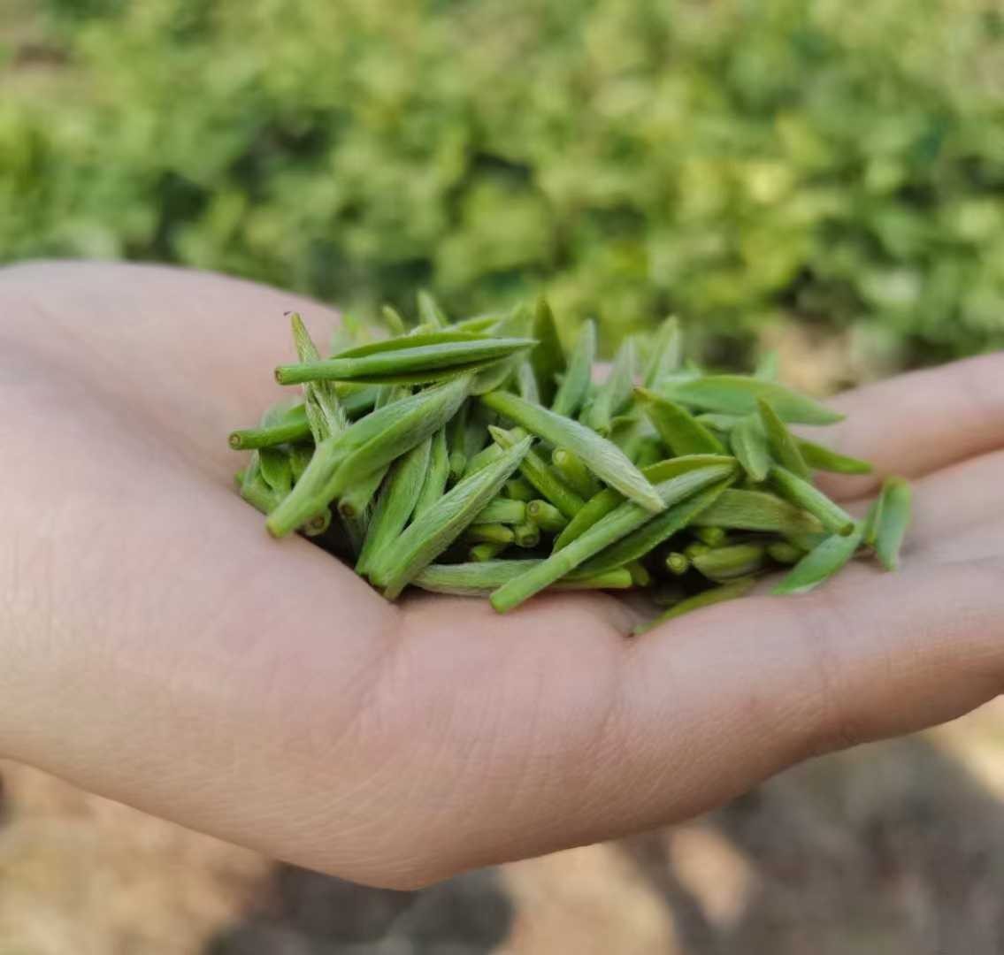 缩略图5