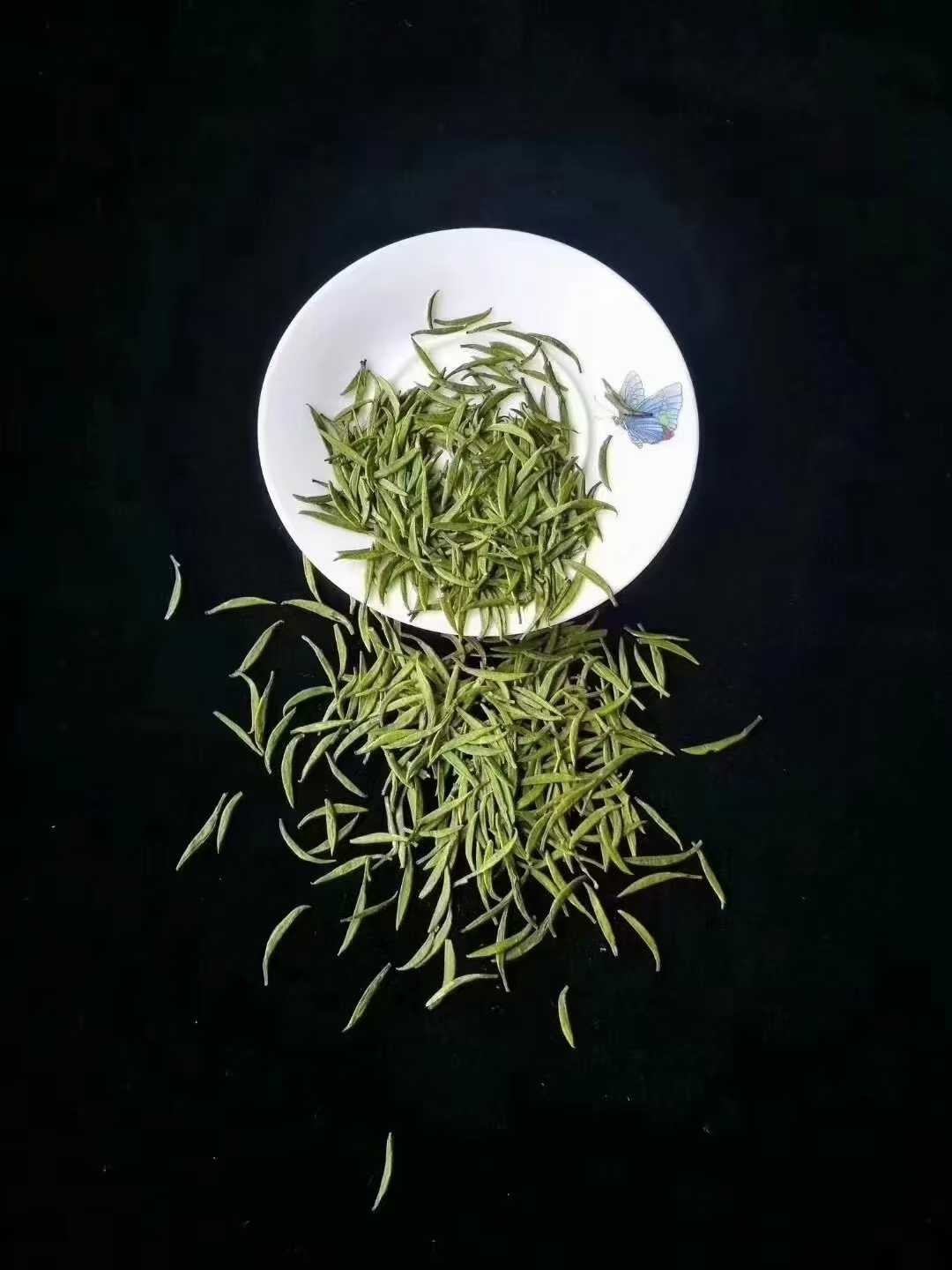 雀舌