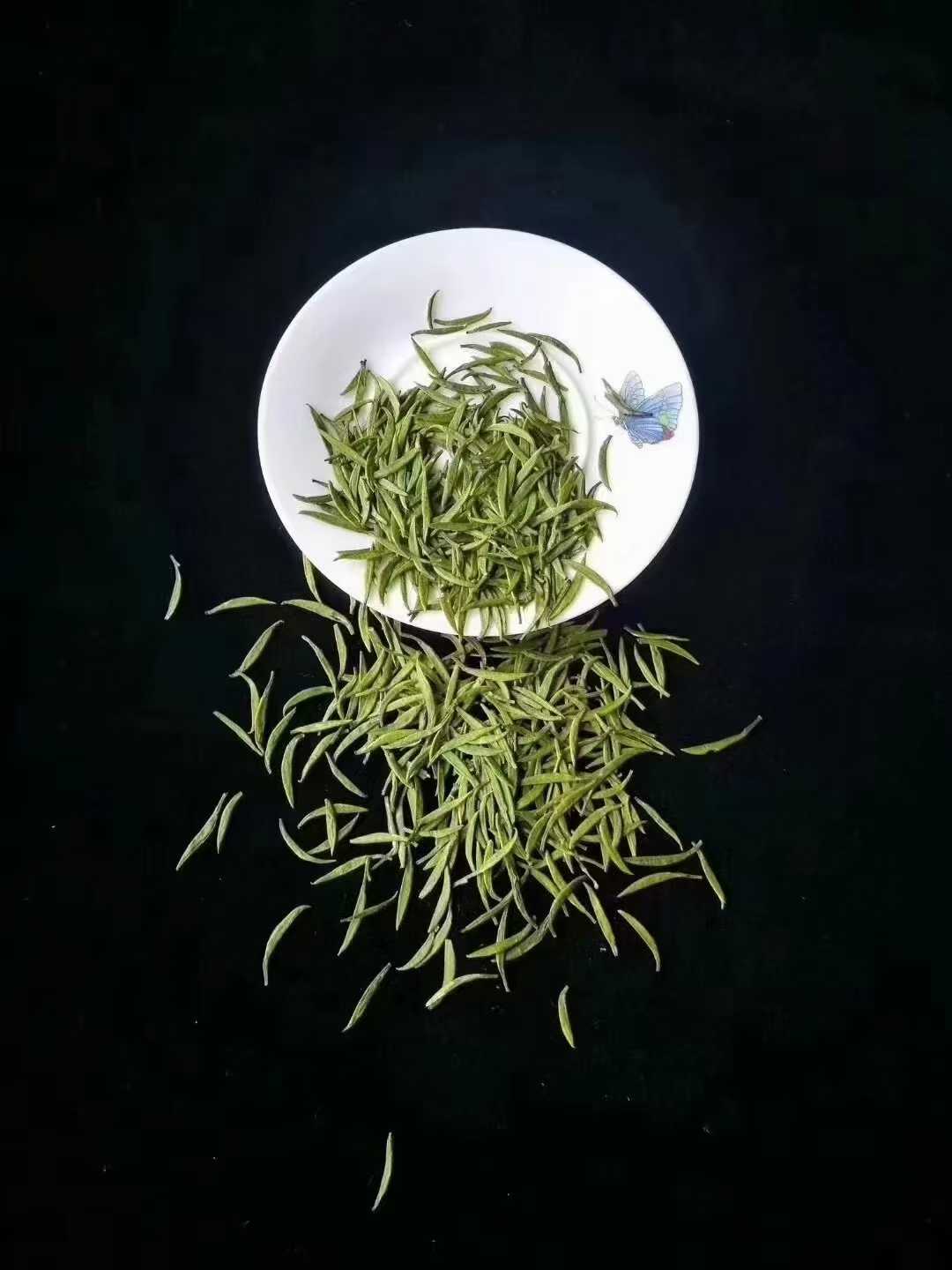 雀舌