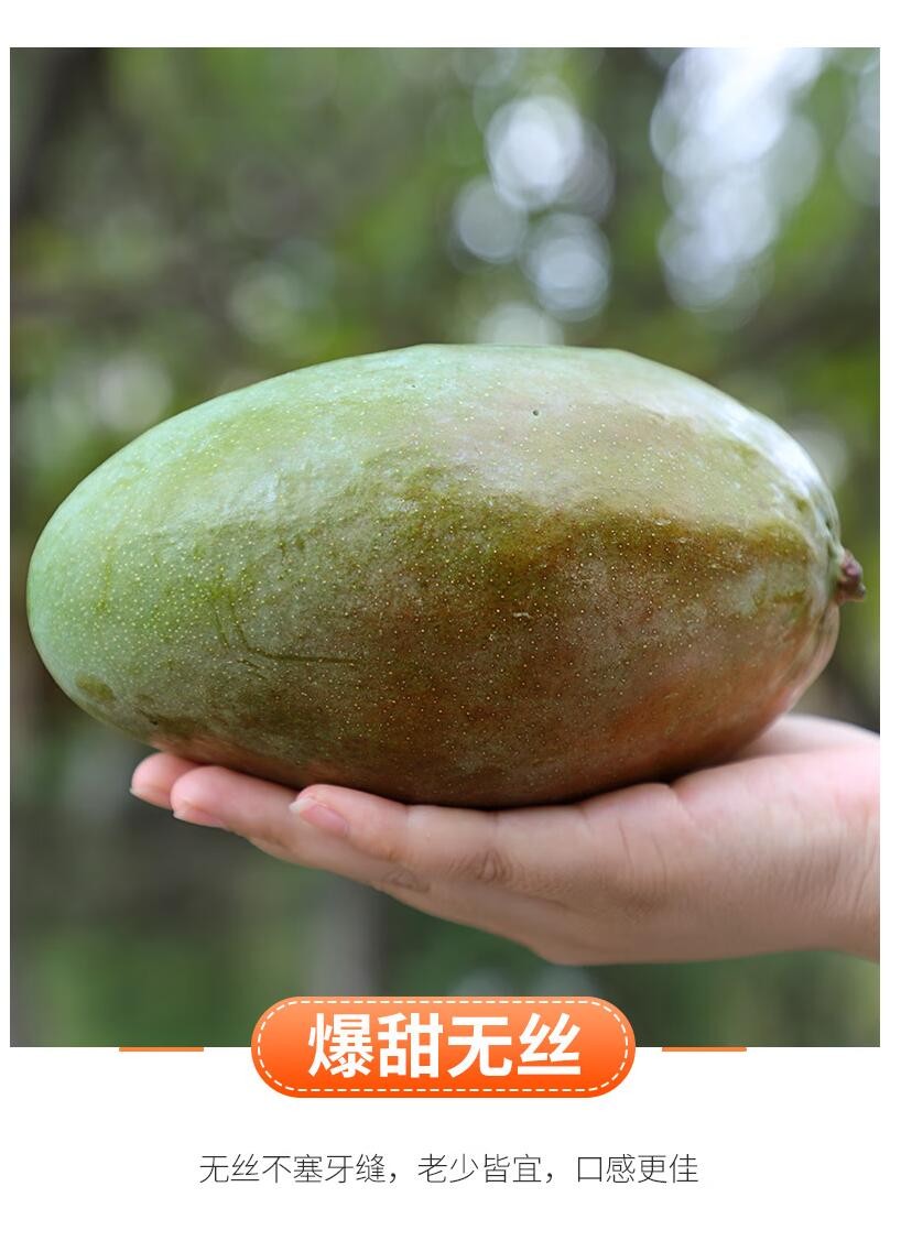缩略图4