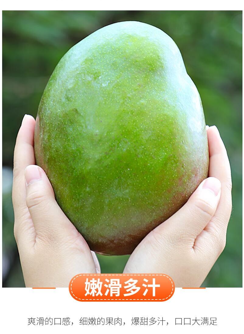 缩略图5