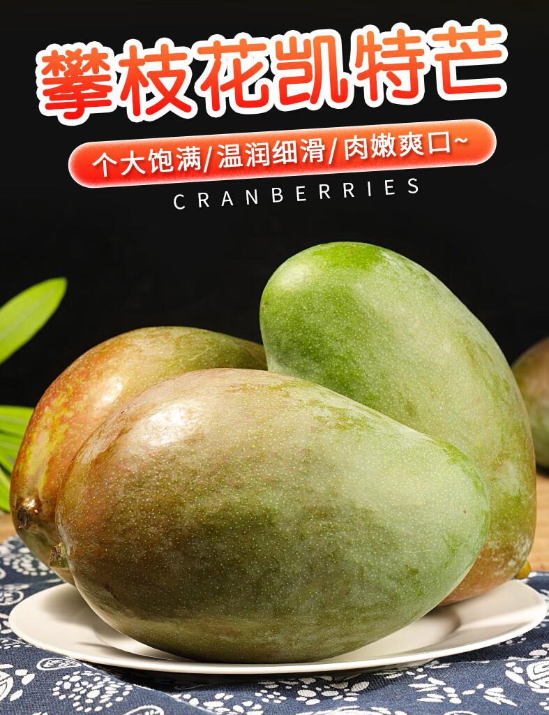 四川攀枝花凯特芒果